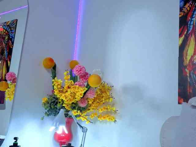 LittleSky webcam
