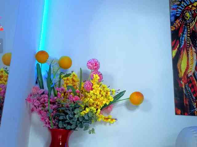 LittleSky webcam