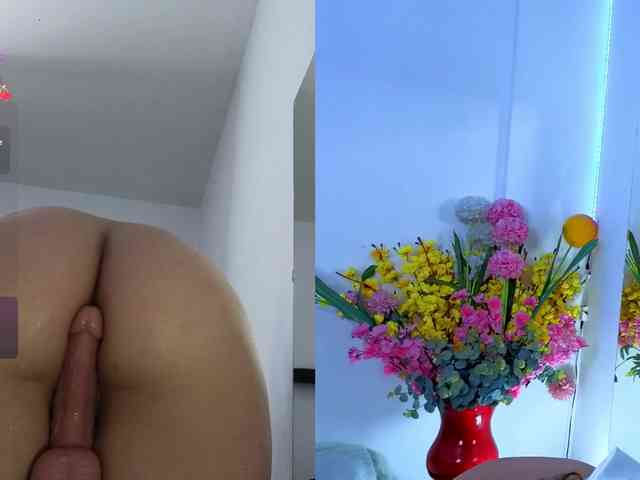 LittleSky webcam