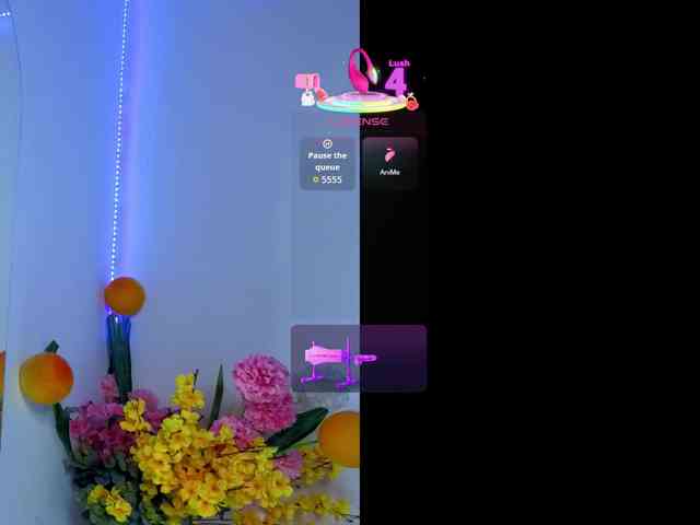 LittleSky webcam