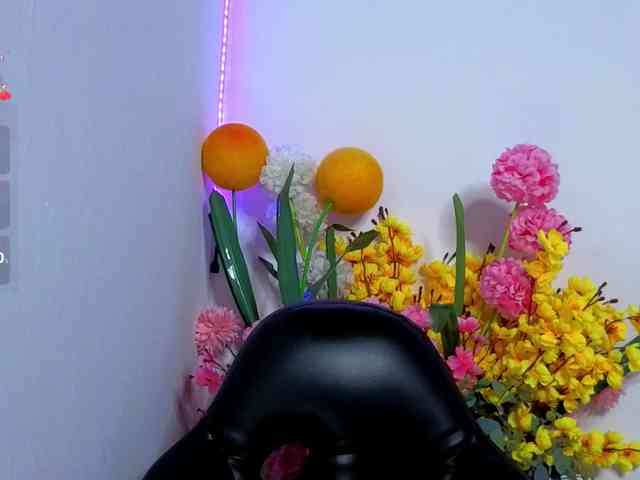 LittleSky webcam