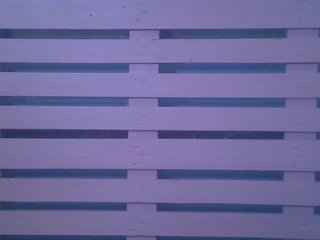Bellalabelle's Live Webcam