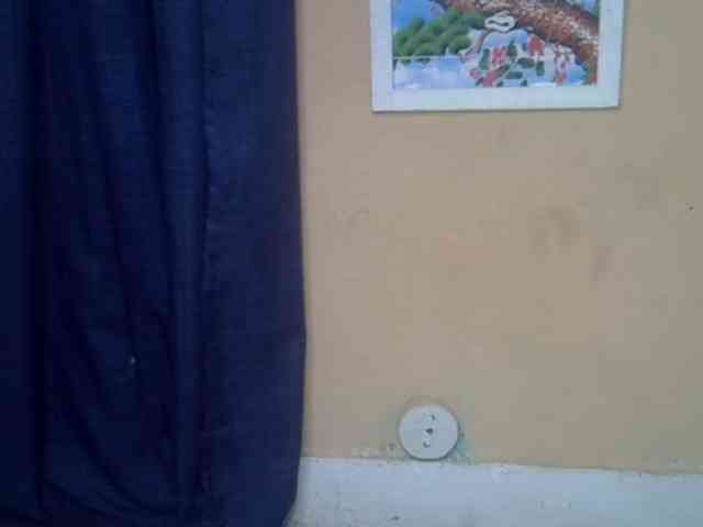 Kishamir webcam