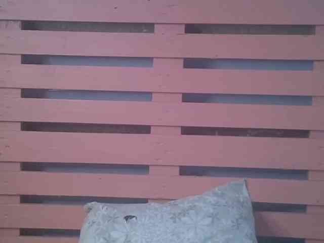 Bellalabelle webcam