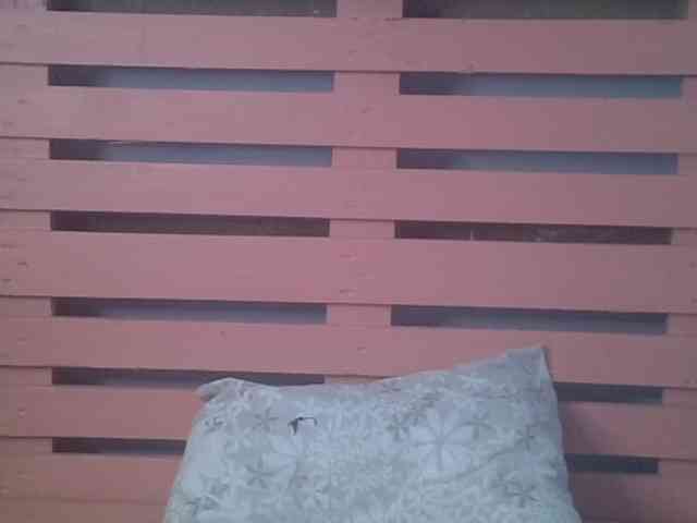 Bellalabelle webcam