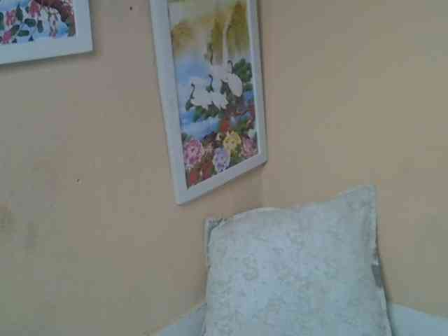 Kishamir webcam