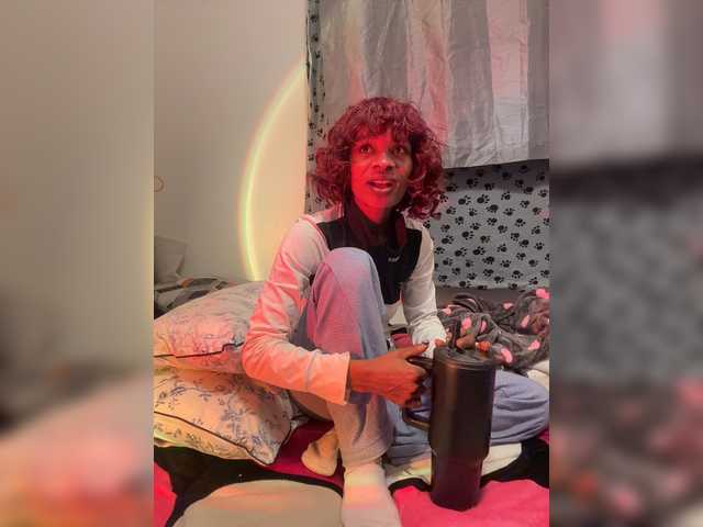 halina live cam on BongaCams
