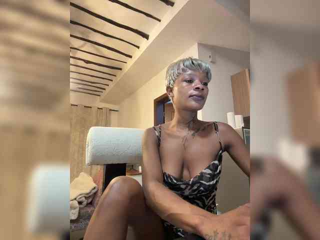 halina webcam