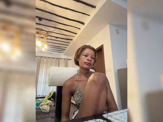halina webcam