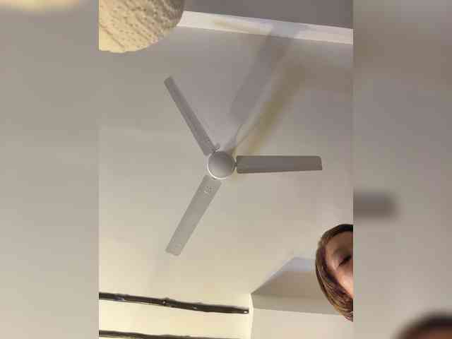 halina webcam