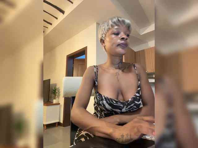 halina webcam