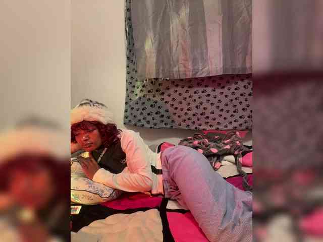 halina webcam