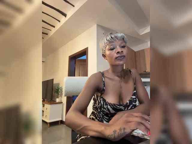 halina webcam