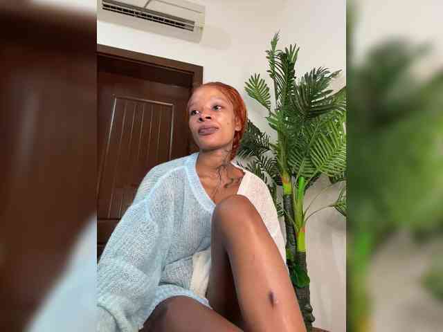 halina webcam