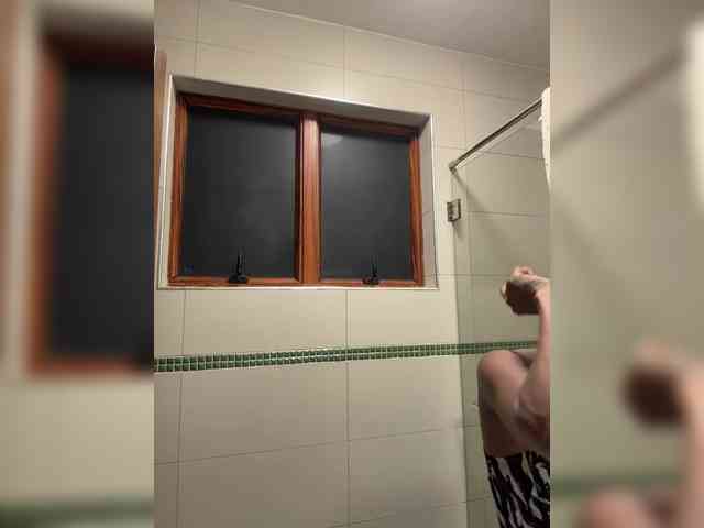 halina webcam