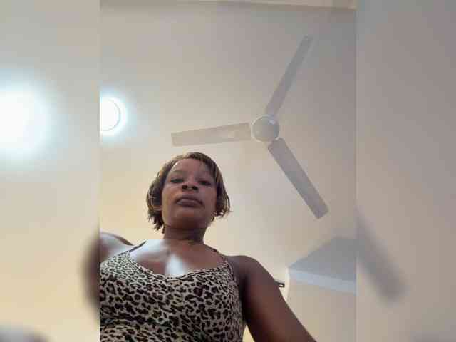 halina webcam