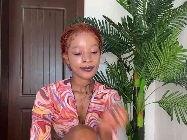 halina webcam