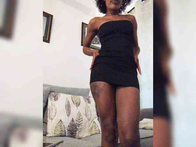 halina webcam