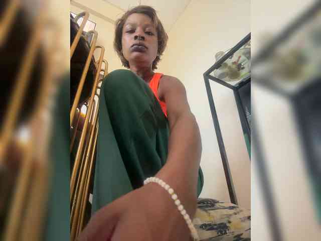 halina webcam