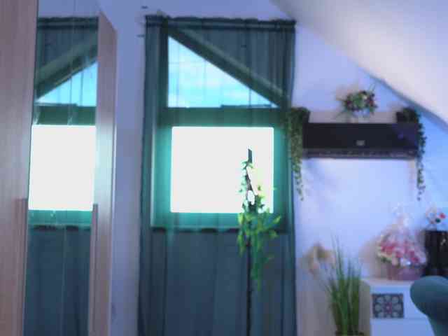 VixenIvy webcam