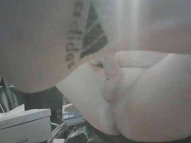 dimon4747