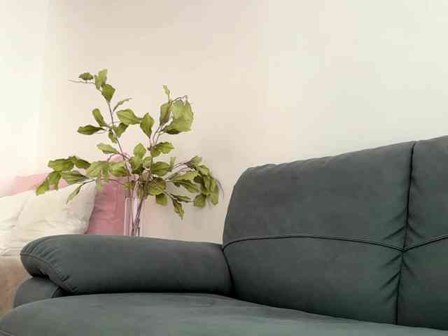 LauraMondella