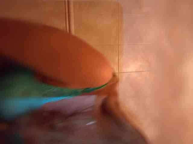 AvaQueen webcam