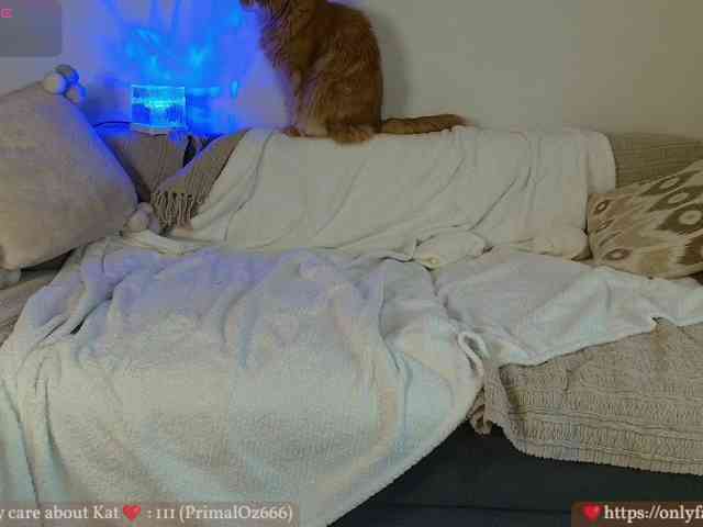 KatyaFods webcam