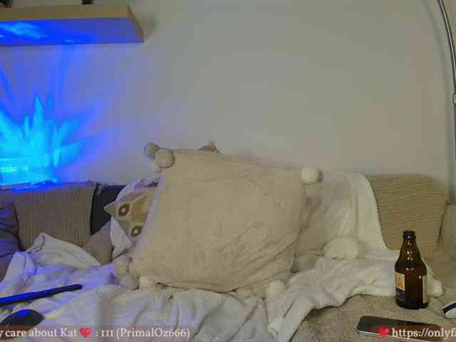 KatyaFods webcam
