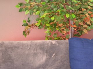 Ninna-Velvet Porn Show