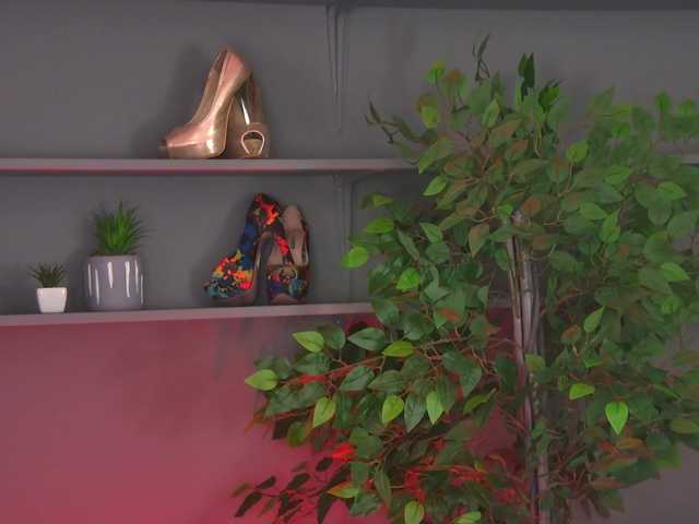 Ninna-Velvet webcam