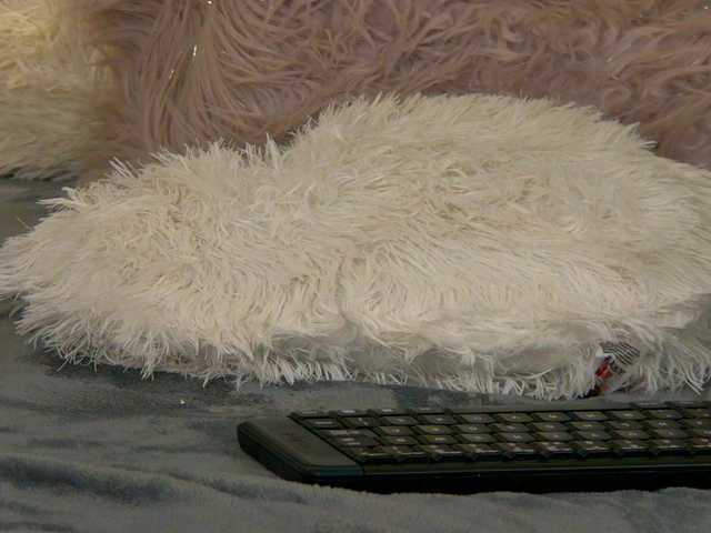 Ninna-Velvet live cam on BongaCams