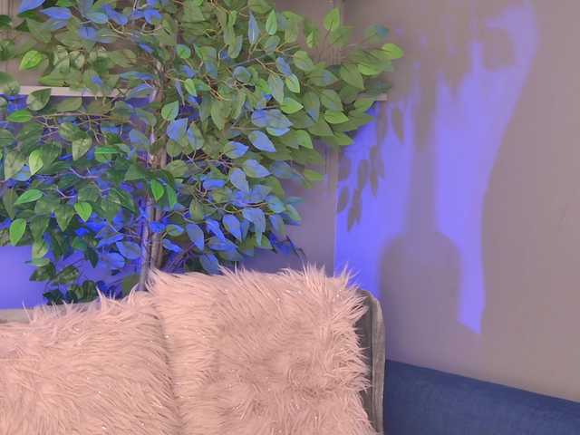 Ninna-Velvet live cam on BongaCams