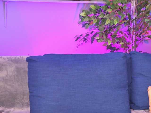 Ninna-Velvet live cam on BongaCams