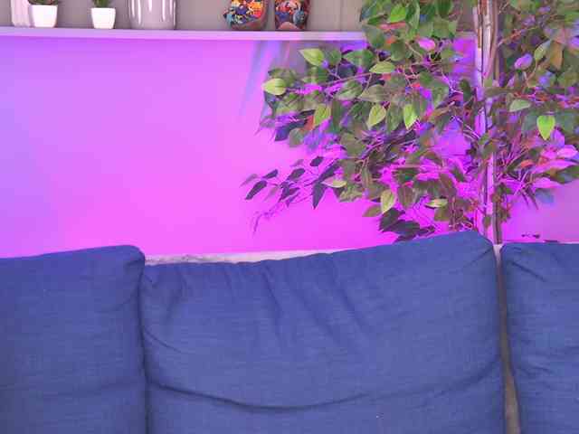 Ninna-Velvet webcam