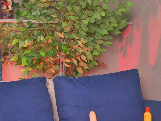Ninna-Velvet webcam