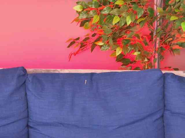 Ninna-Velvet webcam