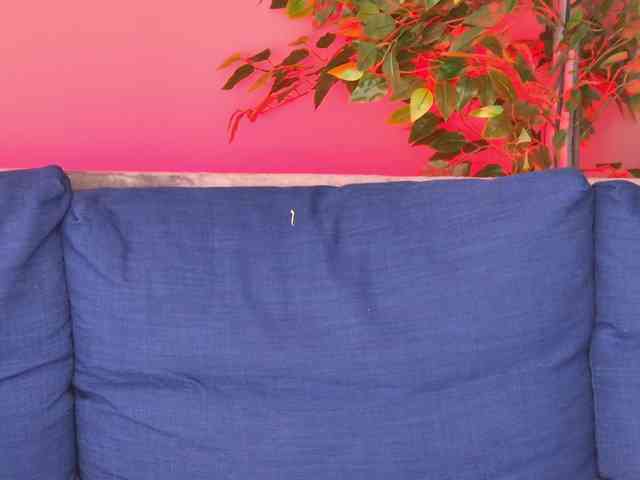 Ninna-Velvet webcam