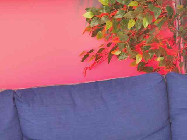 Ninna-Velvet webcam
