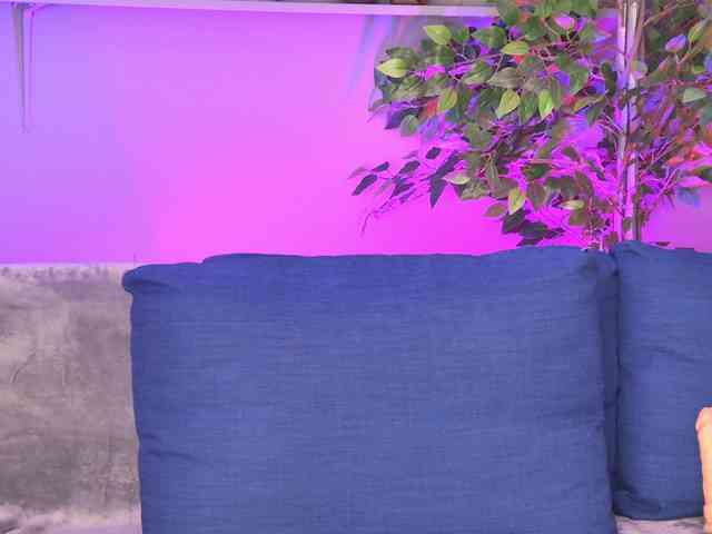 Ninna-Velvet webcam