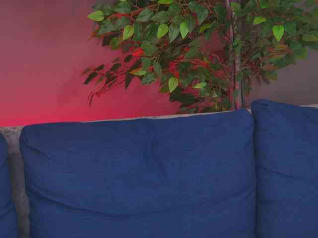 Ninna-Velvet webcam