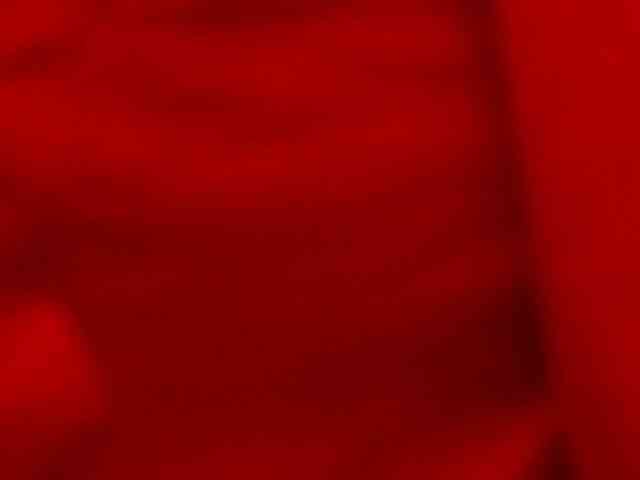 Ninna-Velvet Ninna-Velvet