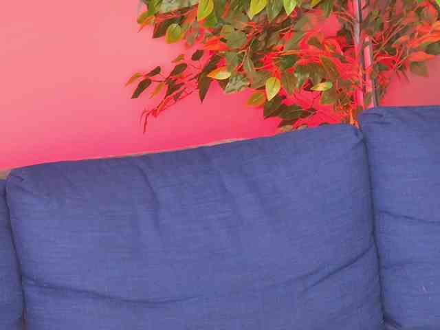 Ninna-Velvet webcam