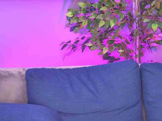 Ninna-Velvet webcam