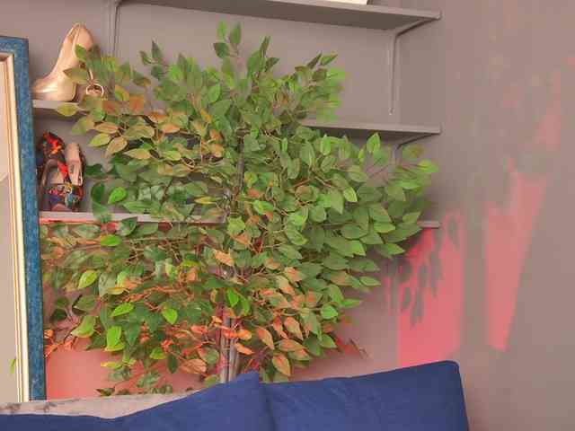 Ninna-Velvet webcam