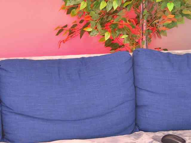Ninna-Velvet webcam