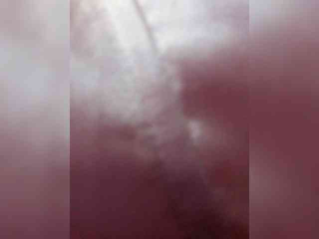 AriBlake webcam