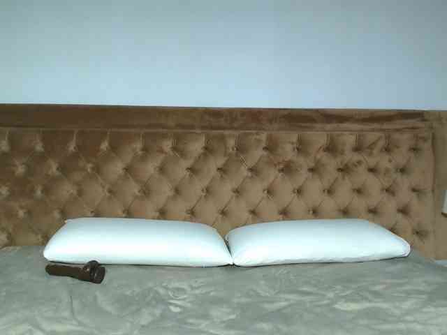 aylinhoney webcam