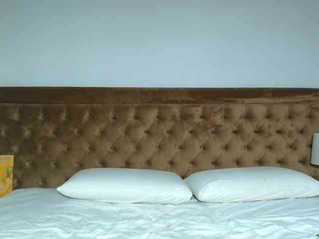 aylinhoney webcam