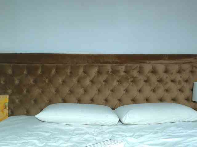 aylinhoney webcam